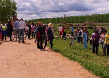 La naturaleza y el aprendizaje se abren paso en Cabrerizos para celebrar el Día del Árbol