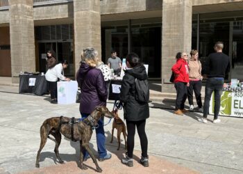 El 2º mercadillo de adopción reunirá a los amantes de los animales en Carbajosa el próximo sábado