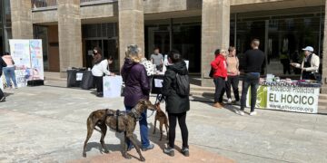 El 2º mercadillo de adopción reunirá a los amantes de los animales en Carbajosa el próximo sábado