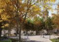 ‘El vergel de los dos bandos’, propuesta ganadora para la renovación de la plaza de Los Bandos
