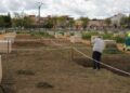 Salamanca plantará más de 32.000 árboles durante el próximo otoño
