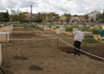 Salamanca plantará más de 32.000 árboles durante el próximo otoño