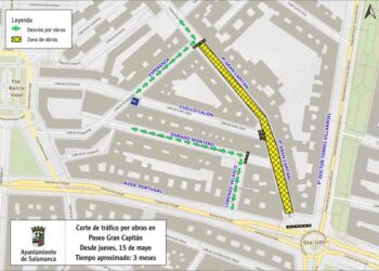 Inversión de 584.000 euros para la reforma y rehabilitación integral del paseo del Gran Capitán