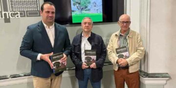 Repaso a los árboles notables de la provincia con secuoyas de 40 metros de altura, castaños de 20 metros de diámetro o encinas centenarias