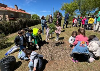 Más de 200 escolares del CRA La Flecha celebran mañana el Día del Árbol con talleres sobre naturaleza