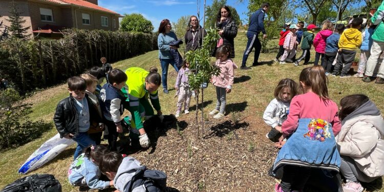 Más de 200 escolares del CRA La Flecha celebran mañana el Día del Árbol con talleres sobre naturaleza