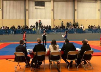 Más de 100 luchadores compiten en el III Torneo Interregional de Wushu Tradicional
