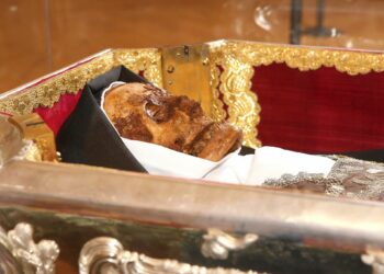 Fieles y devotos ya veneran el cuerpo de Santa Teresa en la Basílica de la Anunciación de Alba