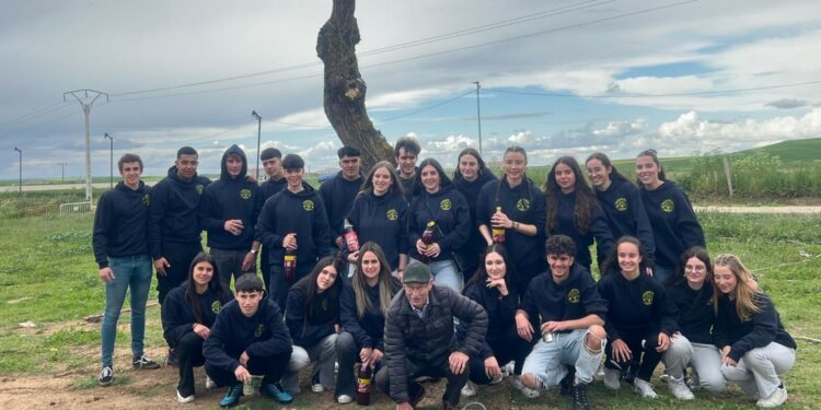 Los Quintos de Villares muestran fuerza y energía en la plantación del ‘mayo’ de más de 8 metros de altura