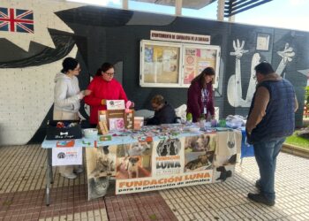 El mercadillo de adopción de mascotas capta la atención de los vecinos de Carbajosa