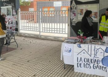 El CD Sporting Carbajosa organiza una jornada solidaria a favor de las mascotas felinas