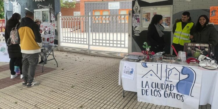 El CD Sporting Carbajosa organiza una jornada solidaria a favor de las mascotas felinas
