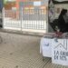 El CD Sporting Carbajosa organiza una jornada solidaria a favor de las mascotas felinas