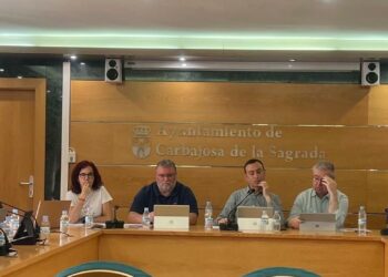 El nuevo servicio de limpieza de zonas verdes incluirá las urbanizaciones y costará a Carbajosa casi 1,2 millones de euros