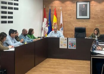 VOX vuelve pedir la retirada de la dedicación exclusiva de la alcaldesa de Castellanos