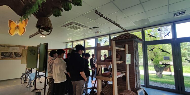 El IES Calisto y Melibea de Santa Marta participa en un proyecto europeo de desarrollo sostenible con un instituto alemán