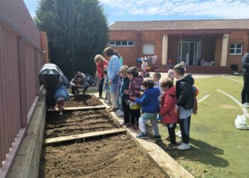 Los escolares del cole Martín Gaite de Santa Marta aprenden agricultura ecológica en el nuevo huerto urbano