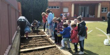 Los escolares del cole Martín Gaite de Santa Marta aprenden agricultura ecológica en el nuevo huerto urbano
