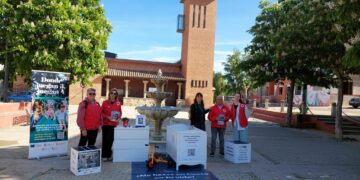 Cruz Roja lleva a Santa Marta la campaña de acogimiento familiar para niños y adolescentes en situación de desprotección social