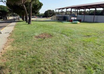 Un pino de grandes dimensiones cae sobre una atracción de feria hiriendo a una niña