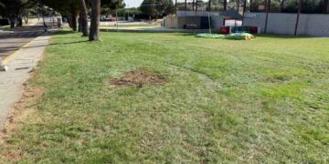 Un pino de grandes dimensiones cae sobre una atracción de feria hiriendo a una niña