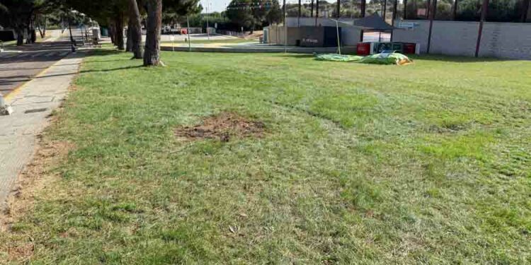 Un pino de grandes dimensiones cae sobre una atracción de feria hiriendo a una niña