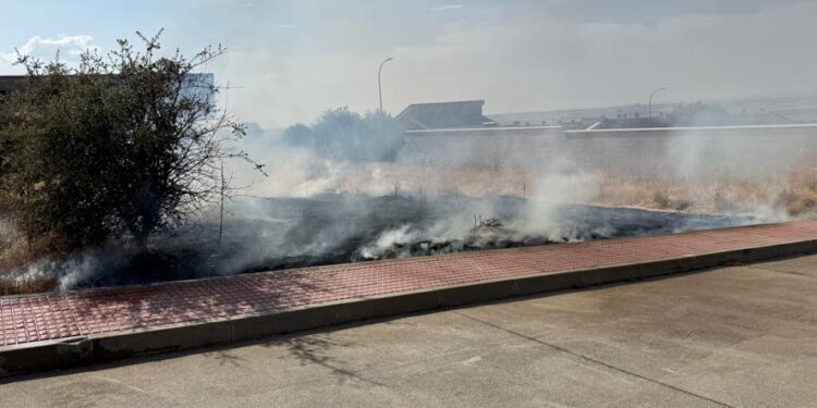 Un grupo de menores provoca un incendio en Peñasolana por el lanzamiento de petardos