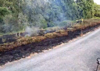 Los bomberos sofocan un incendio en el Sector 2, en la trasera de Lidl