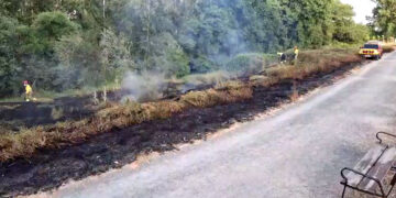 Los bomberos sofocan un incendio en el Sector 2, en la trasera de Lidl