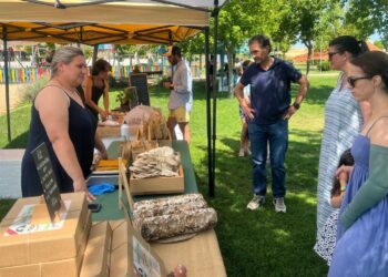 Aldeatejada ofrece alimentos frescos y naturales en su II Mercado de Productos de Temporada