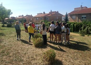 Los escolares del CRA La Flecha plantan olmos y aromáticas en el Teso de la Cruz por el Día del Medio Ambiente
