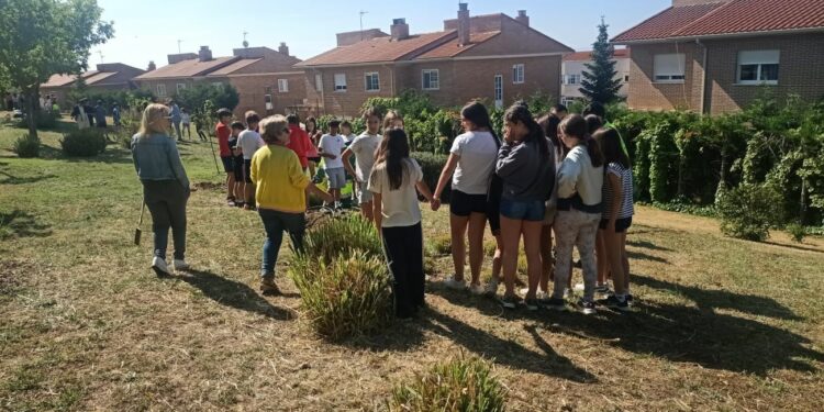 Los escolares del CRA La Flecha plantan olmos y aromáticas en el Teso de la Cruz por el Día del Medio Ambiente
