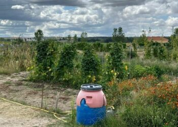 Villamayor señalizará los huertos familiares con 90 placas para facilitar su identificación a los usuarios