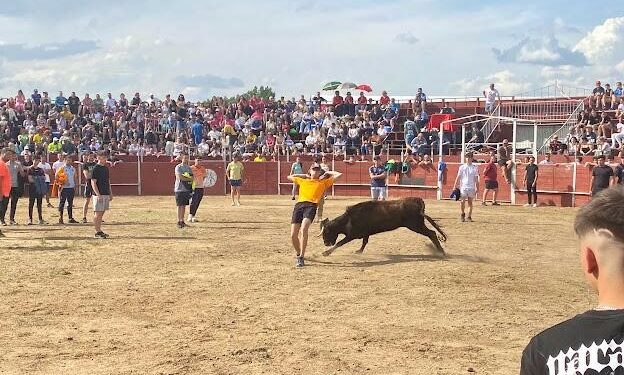 Villamayor llena la plaza de toros en una tarde de capea con buen ambiente y cortes ceñidos en el albero
