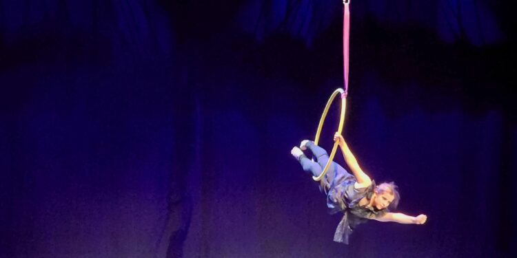 Éxito de la gala solidaria de pole dance a favor de La Sonrisa de M4ría