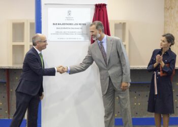 La Diputación concede al Rey Felipe VI la Medalla de Oro de la Provincia