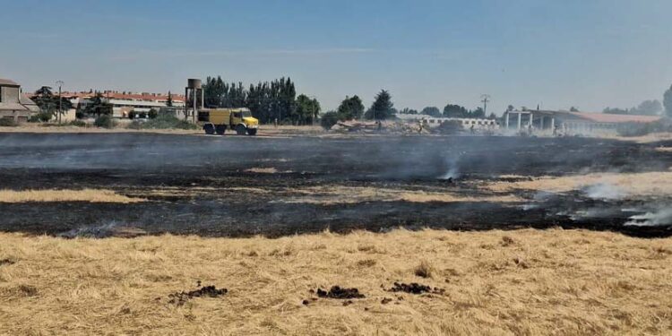 Los bomberos sofocan el incendio originado en la parcela del campamento de peñas