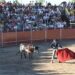 Más de 1.200 personas disfrutan de la clase práctica de la Escuela de Tauromaquia en Santa Marta