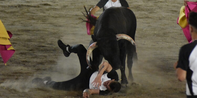 El santamartino Antonio Sánchez se corona como ‘Charro de Oro’ en una emocionante noche de cortes