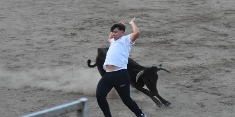 Diversión y buen humor con las vaquillas en la primera capea popular de las fiestas