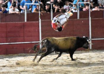 Espectacular cierre de fiestas en Carbajosa con la exhibición de cortes y una capea sin incidentes