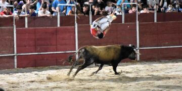 Espectacular cierre de fiestas en Carbajosa con la exhibición de cortes y una capea sin incidentes