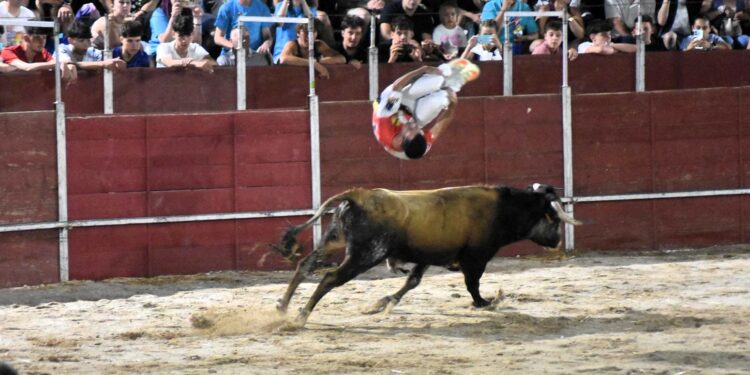Espectacular cierre de fiestas en Carbajosa con la exhibición de cortes y una capea sin incidentes