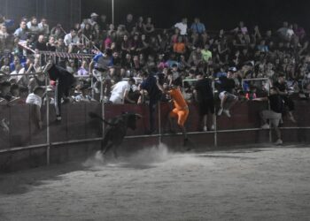 Una vaquilla desata el caos en la primera capea nocturna de Carbajosa