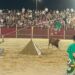 El público abarrota la plaza de toros para disfrutar con las peñas del concurso ‘Huertos Prix’
