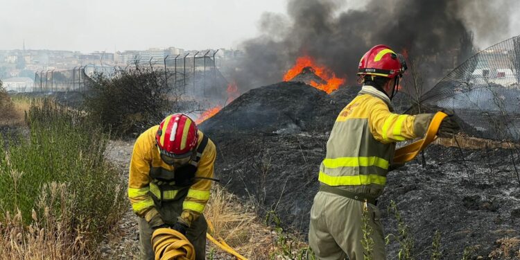 Alarma por el incendio de vegetación en el polígono El Montalvo I en Carbajosa