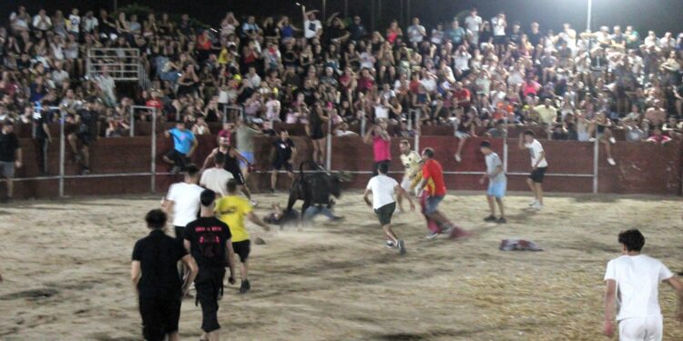 Las vaquillas siembran de nuevo el pánico en la segunda capea nocturna de Carbajosa