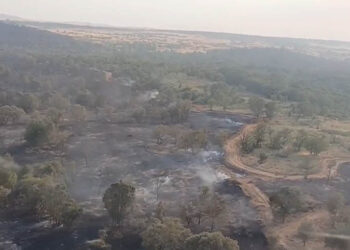 La Junta de Castilla y León aprueba ayudas para la recuperación de las zonas y personas afectadas por los incendios