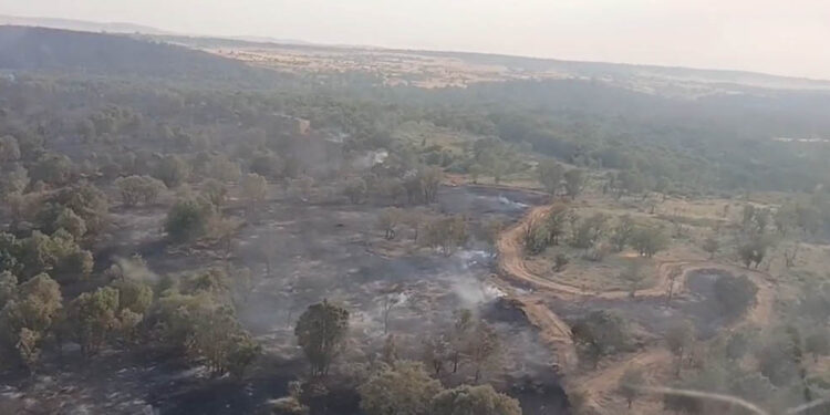 La Junta de Castilla y León aprueba ayudas para la recuperación de las zonas y personas afectadas por los incendios
