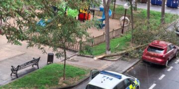 El fuerte viento provoca la caída de un árbol sobre un coche en la calle Villaviciosa de la capital